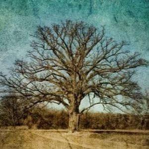 Meet your Posher, Bridget